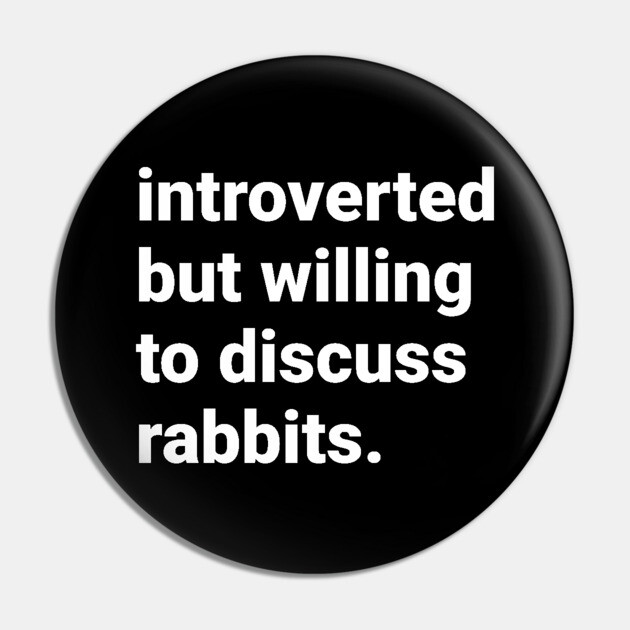 Introverted but willing to discuss rabbits Pin by DeguArts