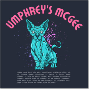 umphrey's mcgee Posters and Art