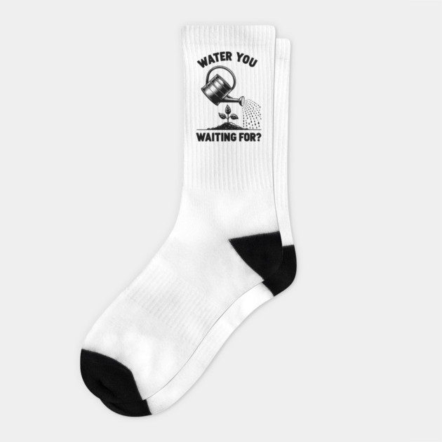 Water You Waiting For? Socks by Frank Ring