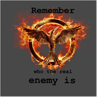Catching fire: “Remember who the real enemy is” Posters and Art