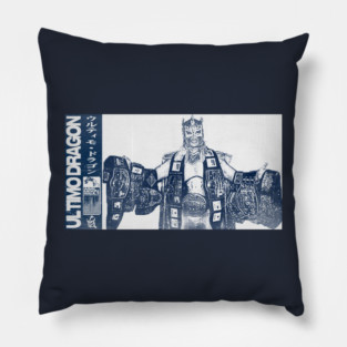 Enter the Dragon Pillow