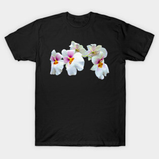 Orchid Miltoniopsis Florentine T-Shirt
