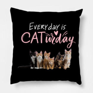 Everyday Is Caturday Quote For Cat Lovers Pillow
