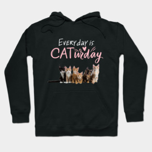 Everyday Is Caturday Quote For Cat Lovers Hoodie
