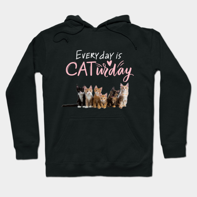 Everyday Is Caturday Quote For Cat Lovers Hoodie by BirdsnStuff