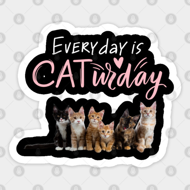 Everyday Is Caturday Quote For Cat Lovers Sticker by BirdsnStuff