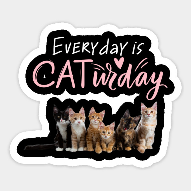 Everyday Is Caturday Quote For Cat Lovers Magnet by BirdsnStuff
