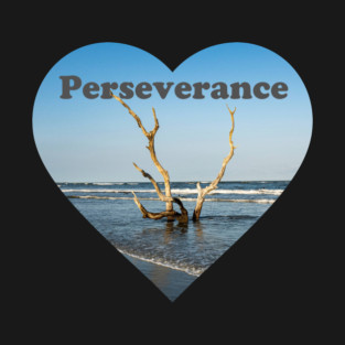 Driftwood Tree Perseverance T-Shirt