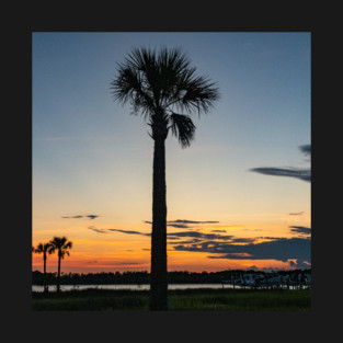 Palm Tree Sunset T-Shirt