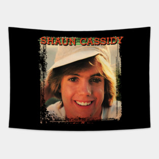 Shaun Cassidy vintage Tapestry