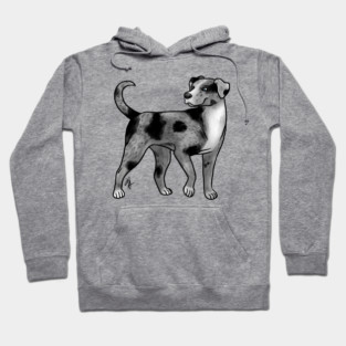 Dog - Catahoula Leopard Dog - Blue Leopard Hoodie
