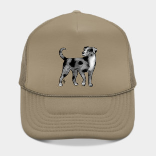 Dog - Catahoula Leopard Dog - Blue Leopard Hat