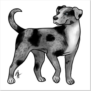 Dog - Catahoula Leopard Dog - Blue Leopard Posters and Art