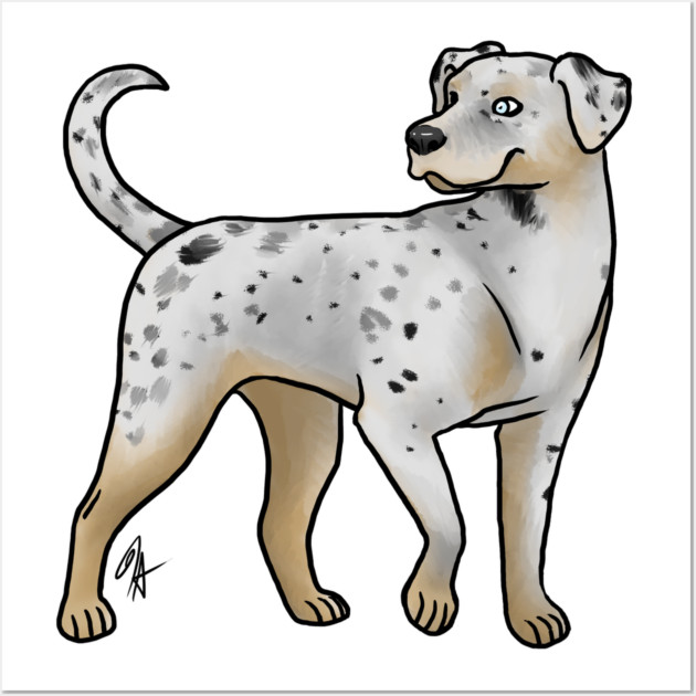 Dog Catahoula Leopard Dog White Leopard Catahoula Leopard