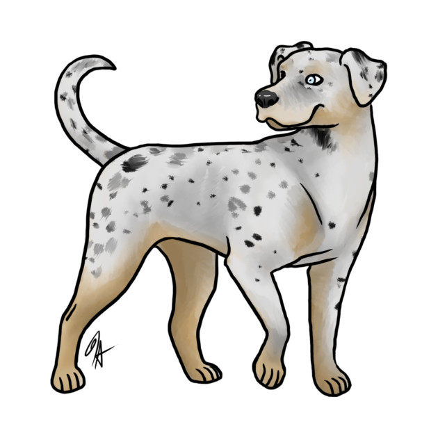 Dog - Catahoula Leopard Dog - White Leopard by Jen's Dogs Custom Gifts and Designs