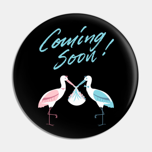Mother's To Be, New Moms, Baby Announcement Cute, Storks, Coming Soon Design Pin by BirdsnStuff