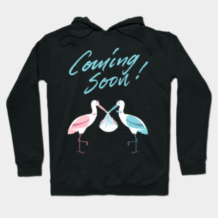 Mother's To Be, New Moms, Baby Announcement Cute, Storks, Coming Soon Design Hoodie