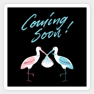 Mother's To Be, New Moms, Baby Announcement Cute, Storks, Coming Soon Design Sticker