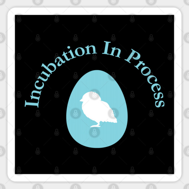 Incubation In Process, Pregnancy Announcement, Funny, Cute< Gender Reveal Design Sticker by BirdsnStuff