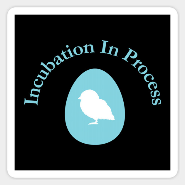 Incubation In Process, Pregnancy Announcement, Funny, Cute< Gender Reveal Design Magnet by BirdsnStuff