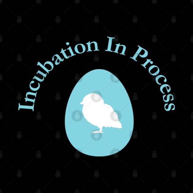 Incubation In Process, Pregnancy Announcement, Funny, Cute< Gender Reveal Design by BirdsnStuff
