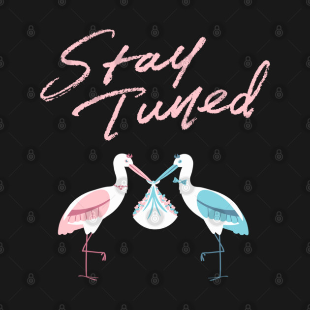 Mother's To Be, New Moms, Baby Announcement Cute, Storks, Stay Tuned  Design by BirdsnStuff