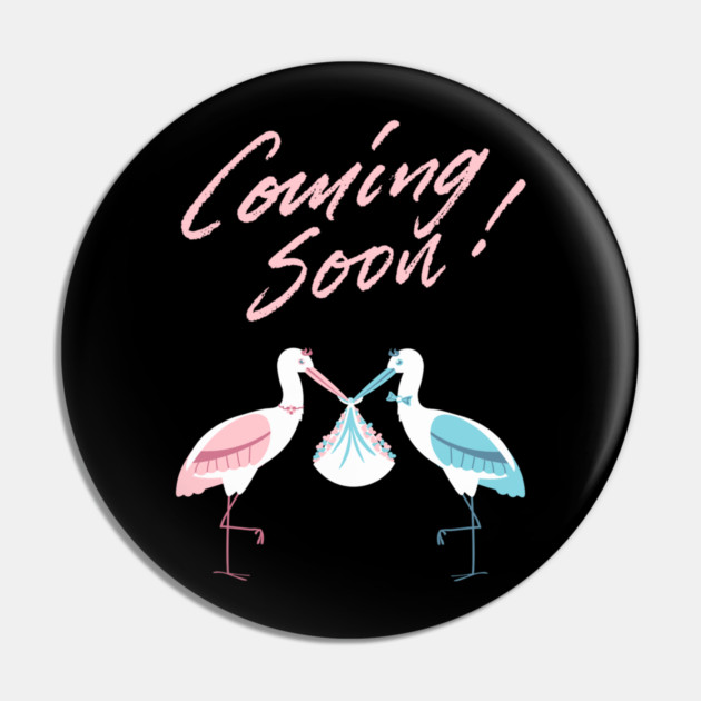 Mother's To Be, New Moms, Baby Announcement Cute, Storks, Coming Soon Design Pin by BirdsnStuff