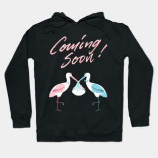 Mother's To Be, New Moms, Baby Announcement Cute, Storks, Coming Soon Design Hoodie