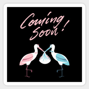 Mother's To Be, New Moms, Baby Announcement Cute, Storks, Coming Soon Design Sticker