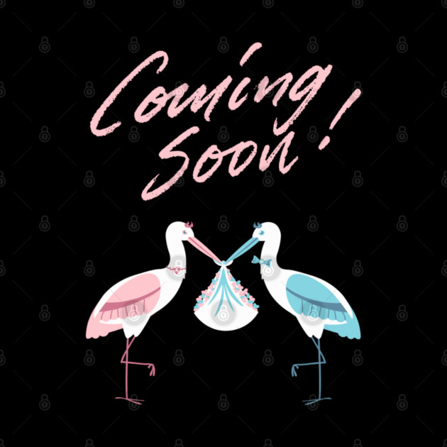 Mother's To Be, New Moms, Baby Announcement Cute, Storks, Coming Soon Design by BirdsnStuff
