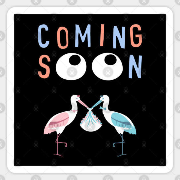 Mother's To Be, New Moms, Baby Announcement Cute, Storks, Coming Soon Design Sticker by BirdsnStuff
