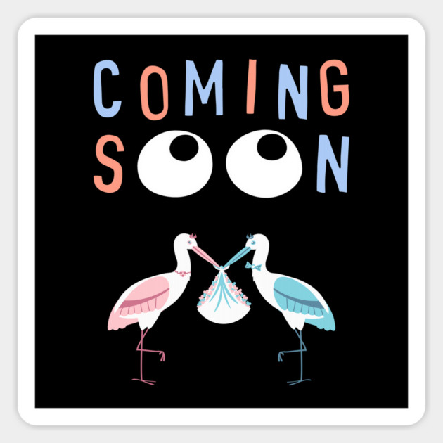 Mother's To Be, New Moms, Baby Announcement Cute, Storks, Coming Soon Design Magnet by BirdsnStuff