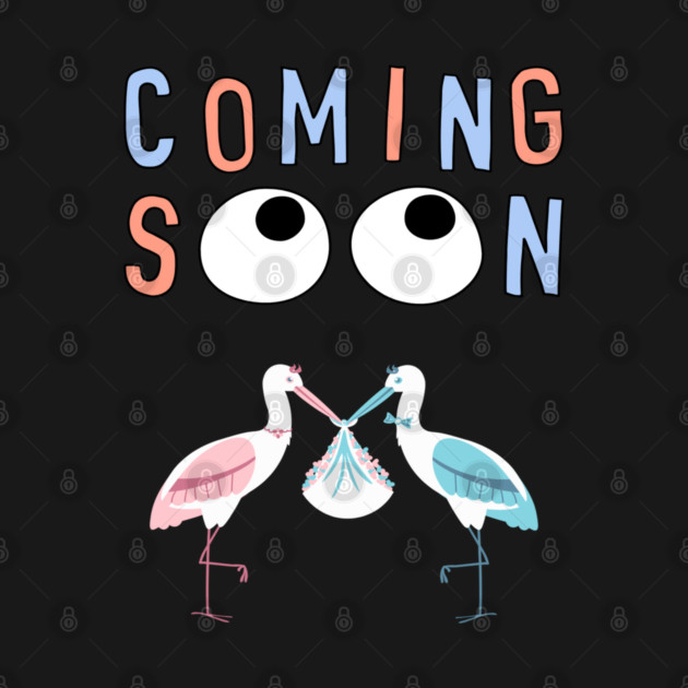 Mother's To Be, New Moms, Baby Announcement Cute, Storks, Coming Soon Design by BirdsnStuff