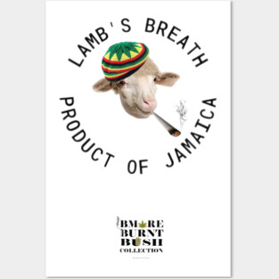 Lamb's Breath Posters and Art
