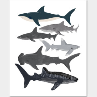 Sharks Posters and Art