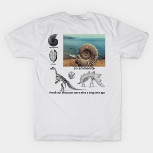 fossil, Proof that dinosaurs were alive a long time ago, dinosaur, an ammonite, a trilobite T-Shirt