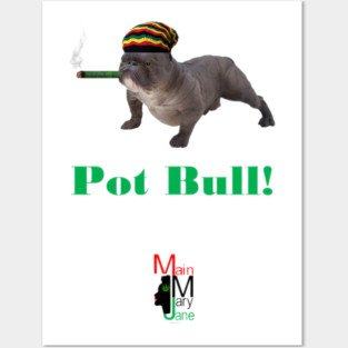 Pot Bull Posters and Art