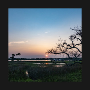 Live oak sunset T-Shirt