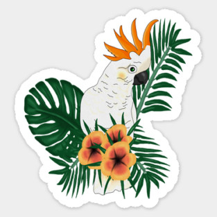 Parrot White Orange Sticker