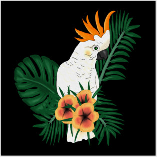 Parrot White Orange Posters and Art