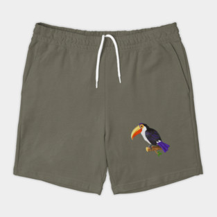 Toucan Bird Shorts