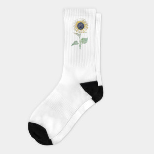 Sunflower Socks