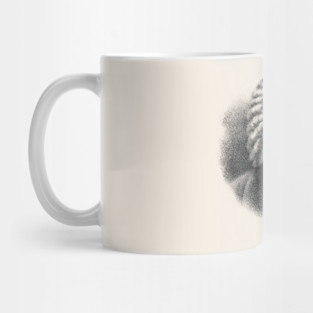 Composer Johann Sebastian Bach Mug