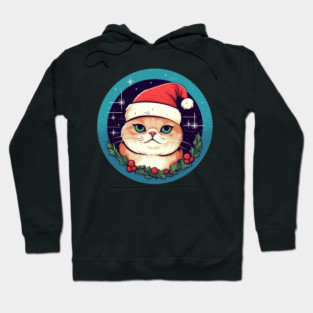 Exotic Shorthair Cat Xmas, Love Cats Hoodie