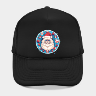 Ragdoll Cat Xmas, Love Cats Hat