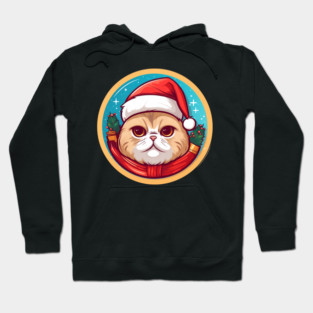 Scottish Fold Cat Xmas, Love Cats Hoodie