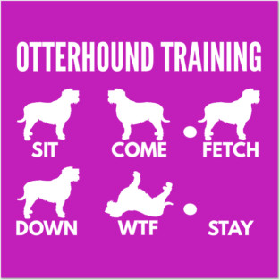 Otterhound Training Boxer Dog Tricks Posters and Art