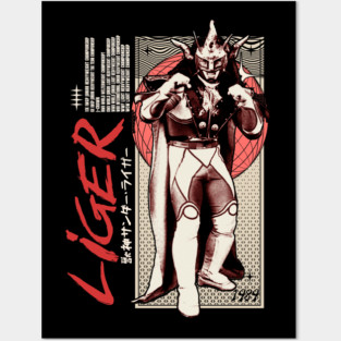 Shooting Star Posters and Art