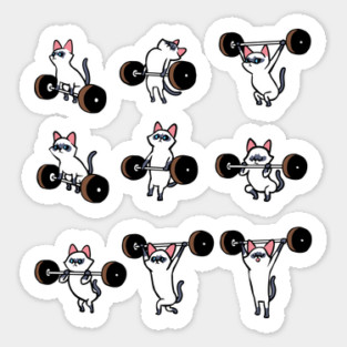 Olympic Lifting Siamese Cat Magnet