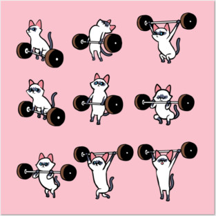 Olympic Lifting Siamese Cat Posters and Art